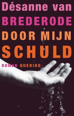 Door mijn schuld - Désanne van Brederode - eBook (9789021438580)
