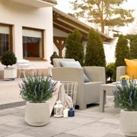 Kunstplant Lavendel Bol UV Blauw 60cm in pot - thumbnail