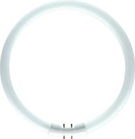 Philips MASTER TL5C Circulair 22W - 840 Koel Wit | 22cm - thumbnail