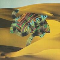 Django Django - CD (5060281611055) - thumbnail