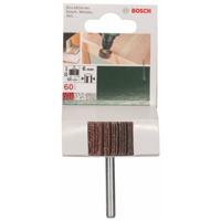 Bosch Accessoires Lamellenstift | Ø 50 X 20 mm | G60 - 2609256282 - thumbnail