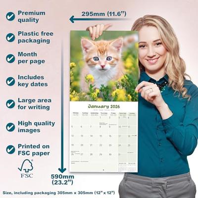 Kittens Kalender 2026 Kittens Kalender 2026