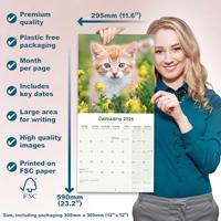 Kittens Kalender 2026 - thumbnail