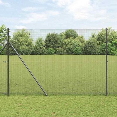 Gelaste draadhek Grijs 1.6 x 25 m Staal