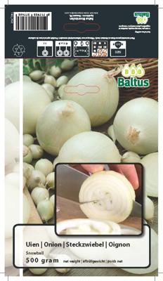 Zomer Bloembollen Uien Snowball (per 500 gram) Baltus - Baltus
