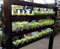 Eco Natura divider 1,9 m 3 liter 180w BTT & Parus - Btt - thumbnail