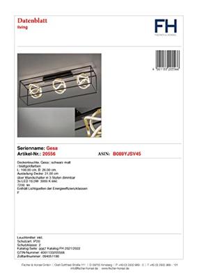 Fischer & Honsel Design plafondlampGesa zwart met goud - 20556