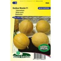 Meloen zaden Outdoor Wonder F1 - thumbnail