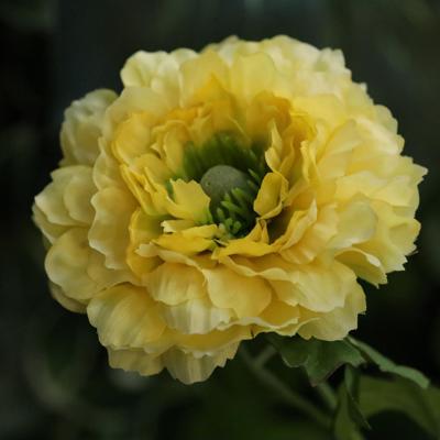 Ranonkel Kunsttak 46cm Geel