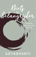 Niets is belangrijker - Adyashanti - Hardcover (9789492995087) - thumbnail