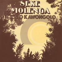 Seka Molenga & Kalo Kawongolo - LP (0857661008285) - thumbnail