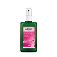 Weleda Wilde Rozen Deodorant Spray 100ml - thumbnail
