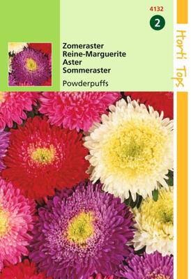 Zaden Callistephus Zomeraster Powderpuff gemengd Hortitops - Hortitops