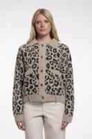 Rino&Pelle Vest Bubbly | Desert Leopard - thumbnail