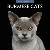 Burmees Kalender 2026 - thumbnail