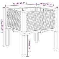 VidaXL Plantenbak met poten 40x40x42 cm polypropeen zwart - thumbnail