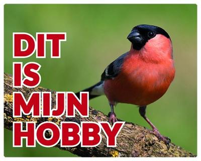 Goudvink Waakbord Man - Dit is mijn hobby