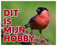 Goudvink Waakbord Man - Dit is mijn hobby - thumbnail