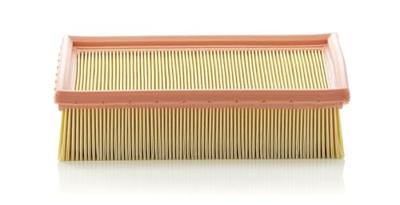 Luchtfilter C24105