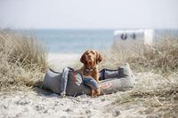 Trixie be nordic aal karl pluche / touw grijs - thumbnail