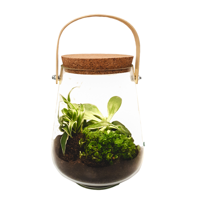 Gusta Mini Tuin Met Lampje 21,5 Cm