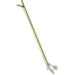 Vijvertang Vijvertang