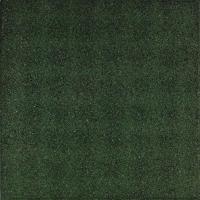 2 stuks! (0.5m2) Rubbertegel groen 50x50x3 cm Gardenlux - Gardenlux - thumbnail
