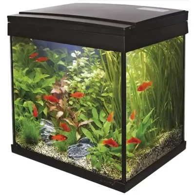 Superfish Start 30 tropical kit zwart