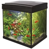 Superfish Start 30 tropical kit zwart - thumbnail