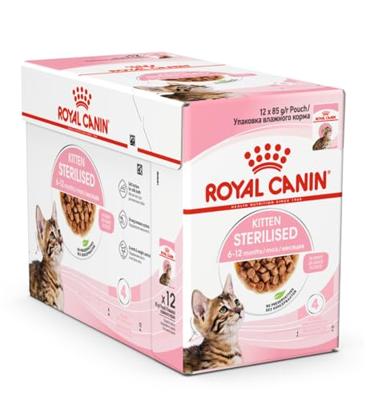 Royal Canin Kitten Sterilised natvoer kat (in gelei) 1 doos (12 x 85 g)