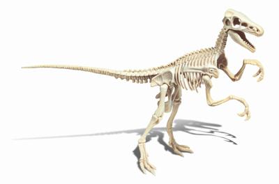 CLEMENTONI Wetenschap & Spel - Archéo Ludic Vélociraptor - Wetenschappelijk spel