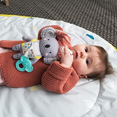 Kimmy the koala - thumbnail