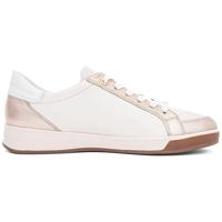 Ara 1234432 - alle - thumbnail