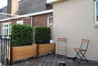 Buxus deluxe kunstheg 80x100cm - thumbnail