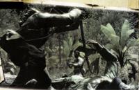 Call of Duty World at War - thumbnail