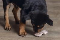 Puppy rub dental fopspeen roze - thumbnail