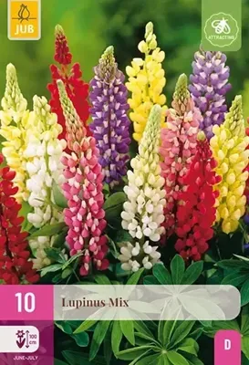JUB x10 Lupinus Mix