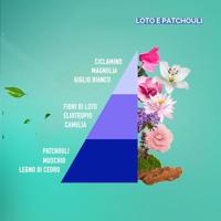 Horomia Wasparfum Patchouli - thumbnail