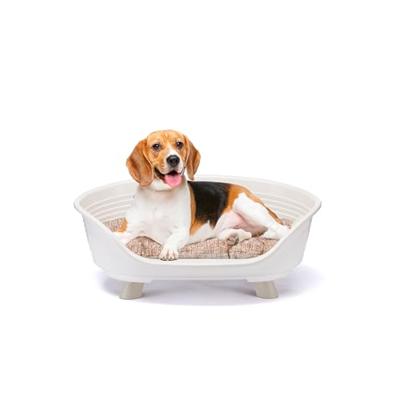 Ferplast Honden- en kattenbed met katoenen kussen, middelhoog hondenbed, gerecycled plastic, binnenbed voor honden en katten, ademend en antislip, THRONE 70,5 x 52 x h 28,5 cm, wit