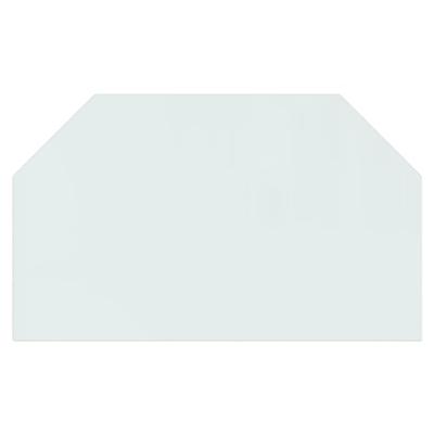 Glasplaat openhaard zeshoekig 100x60 cm