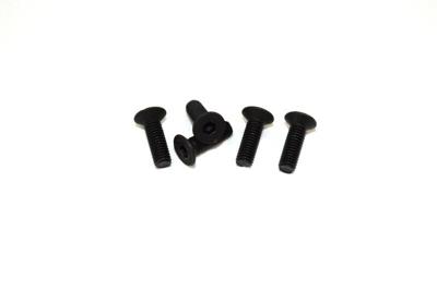 Flat Head Hex Screw M3x10 (8) AB2.8 BL (1330199)