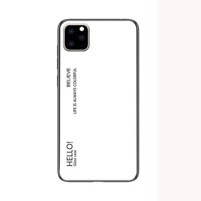 Voor iPhone 11 Pro gradiënt kleur glas geval (wit)