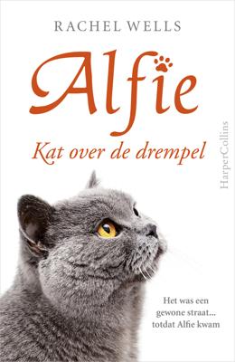 Kat over de drempel - Rachel Wells - ebook