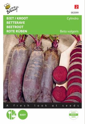 Zaden Biet / Kroot Cylindra Buzzy - Buzzy