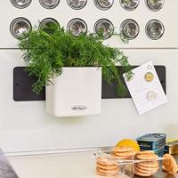 Lechuza Green Wall Home Kit Leisteengrijs - thumbnail