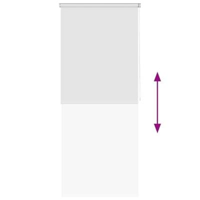 Rolgordijn voor douche 100x240 cm wit Rolgordijn voor douche 100x240 cm wit