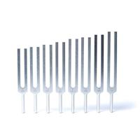 Harmonic Spectrum Stemvorken Set, Aluminium, Zilverkleurig uit India - thumbnail