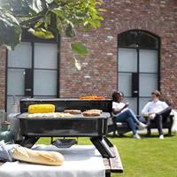 Princess 01.112252.01.001 Grill Elektrisch, Houtskool Met windbescherming, Met voet, Met handmatige temperatuursinstelling Zwart - thumbnail