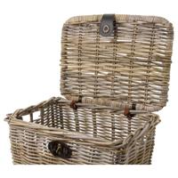 Rotan Fietsmand Met Klep Medium Naturel - thumbnail