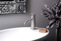 Wastafelmengkraan Sapho Minimal 1-hendel Gebogen 15.8 cm RVS Sapho - thumbnail